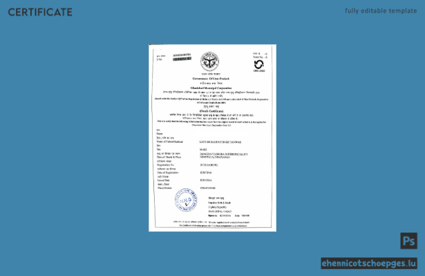 Vorschau einer Sterbeurkunde der Regierung von Uttar Pradesh, Indien